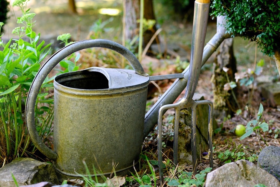 Sélection de plantes faciles pour le jardin